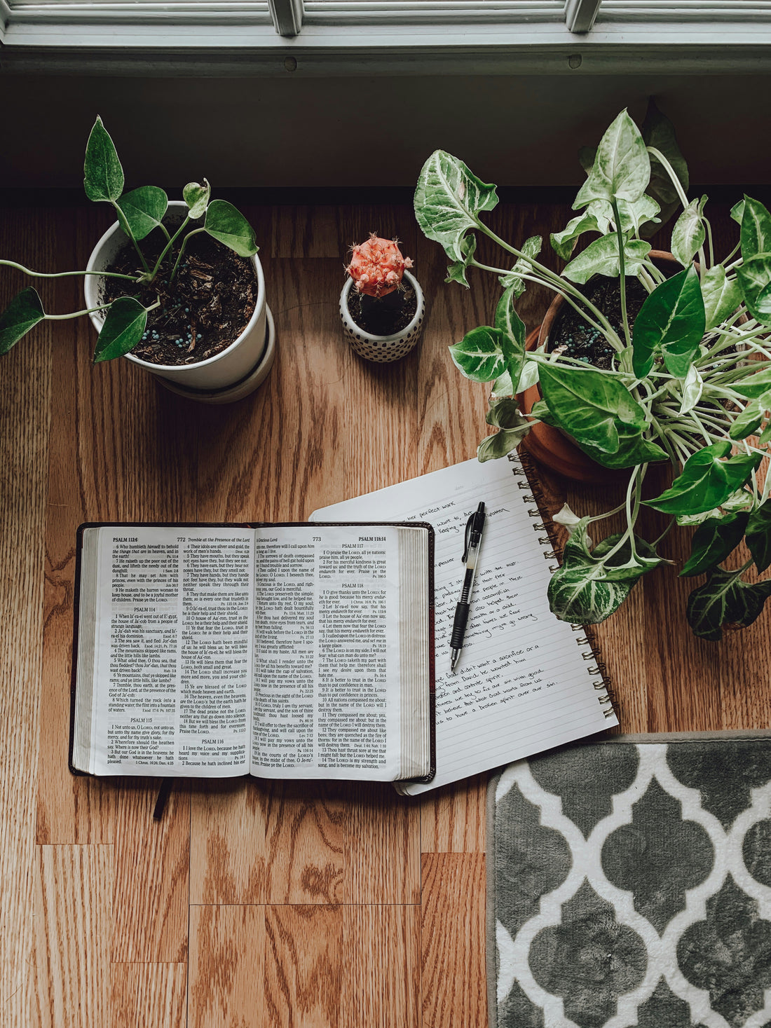Learning to Love Prayer - By Guest Jessica Mathisen